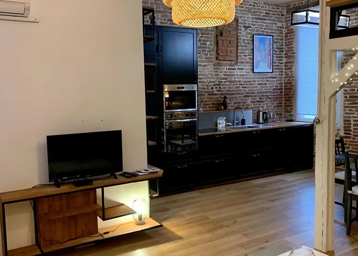 شقة Brooklyn - Clim- Carnot/ramblas 250m تولوز